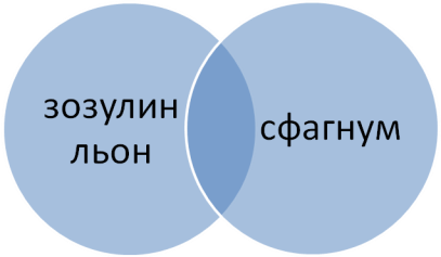 C:\Users\Алекс\Desktop\Конспект уроку з біології для учнів 6 класу на тему_ Папороті,хвощі та плауни_files\001.png